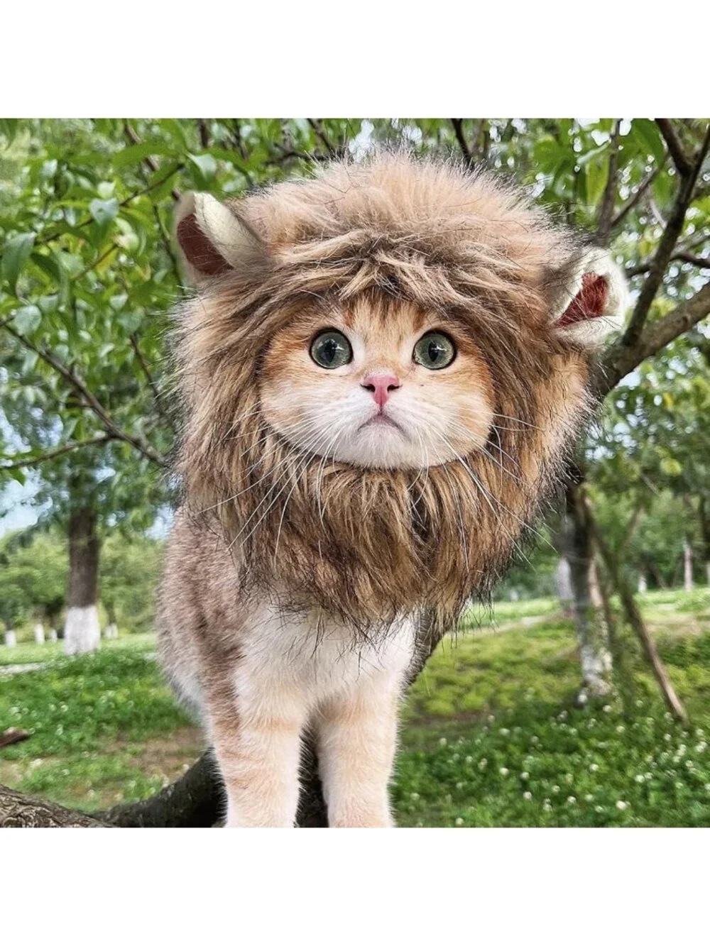 2 Pack Lion Mane Wig for Cats & Small Dogs - Funny Pet Costume for Halloween